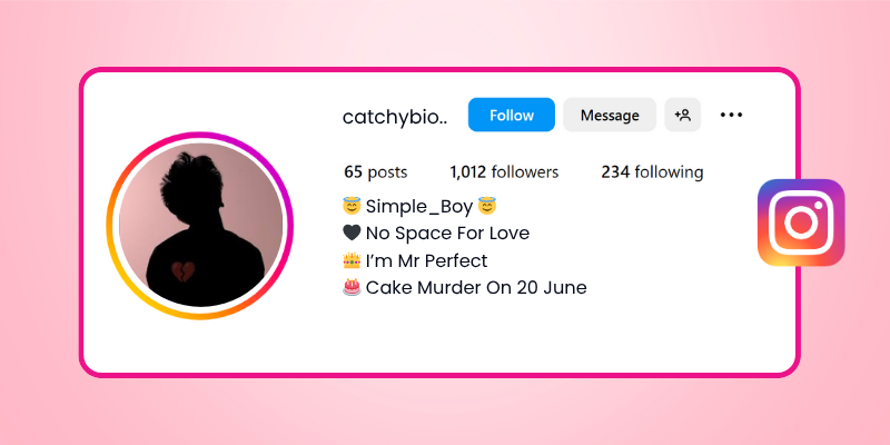 alone bio for instagram