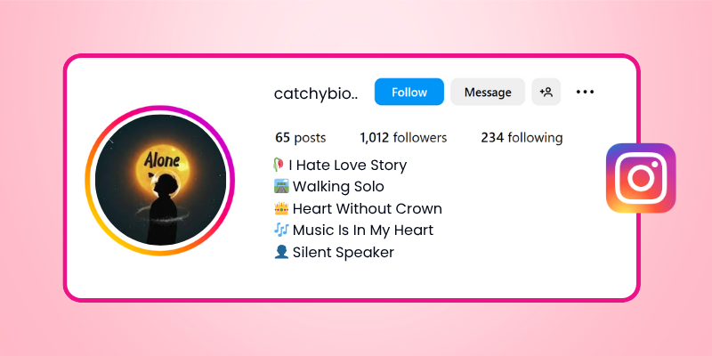alone bio for instagram