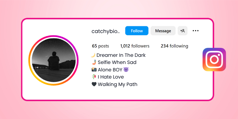 alone bio for instagram