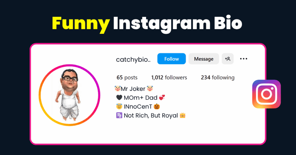 funny Instagram bio