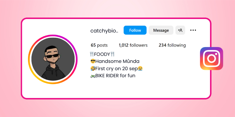 funny Instagram bio