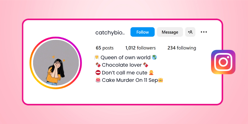 funny Instagram bio