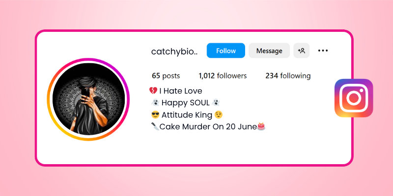 funny Instagram bio