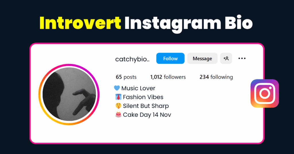 Introvert Instagram Bio