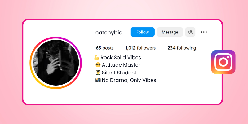 Introvert Instagram Bio