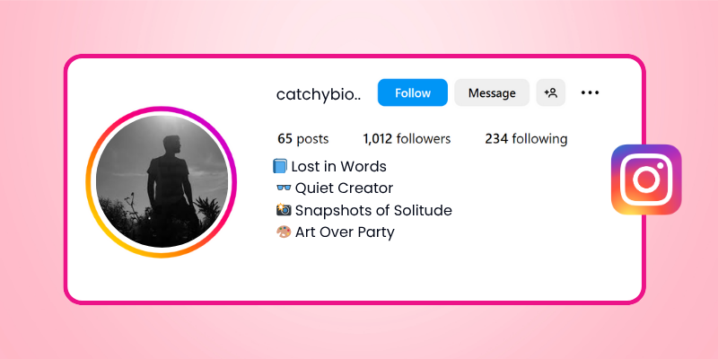 Introvert Instagram Bio