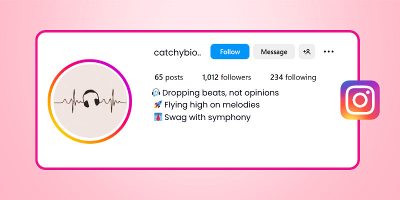 Music Lover Instagram Bio