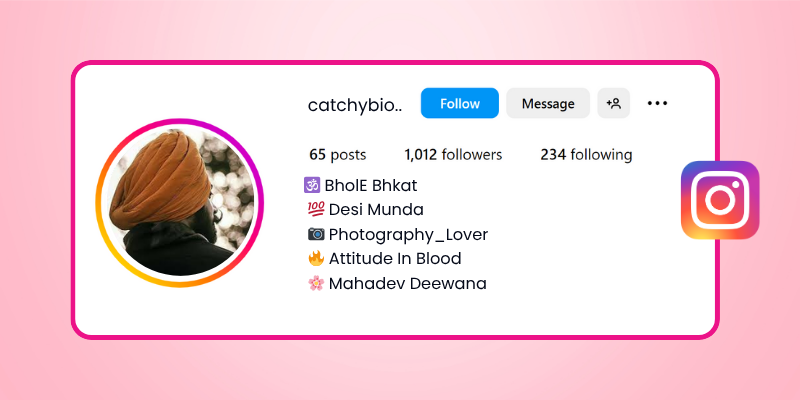 Instagram Bio in Punjabi