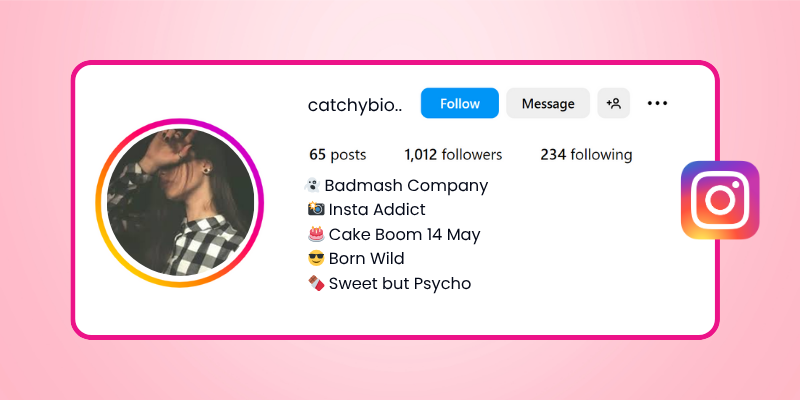 bio for instagram teenager